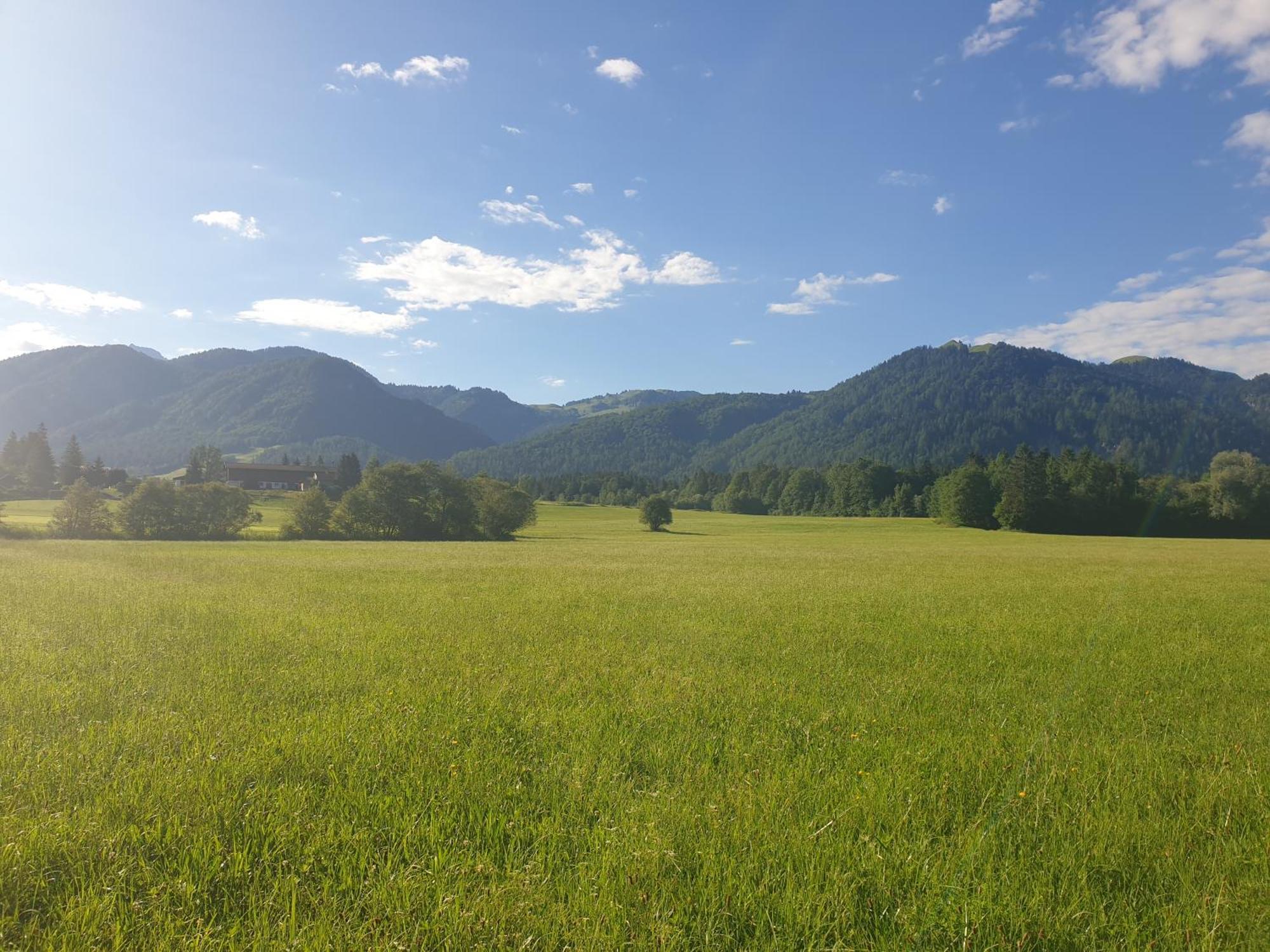 Appartementhaus Huettenberger Erpfendorf Luaran gambar