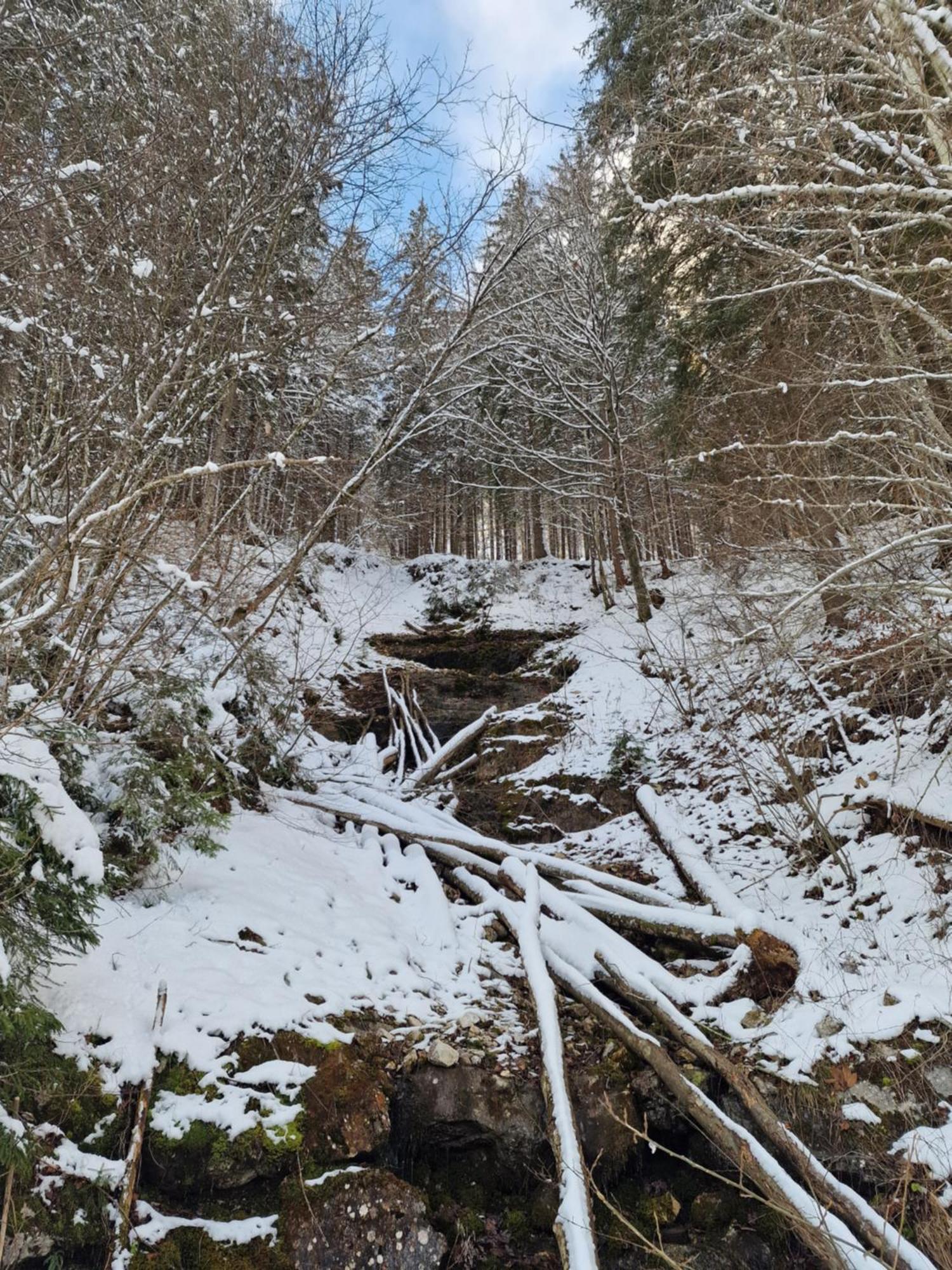 Appartementhaus Huettenberger Erpfendorf Luaran gambar