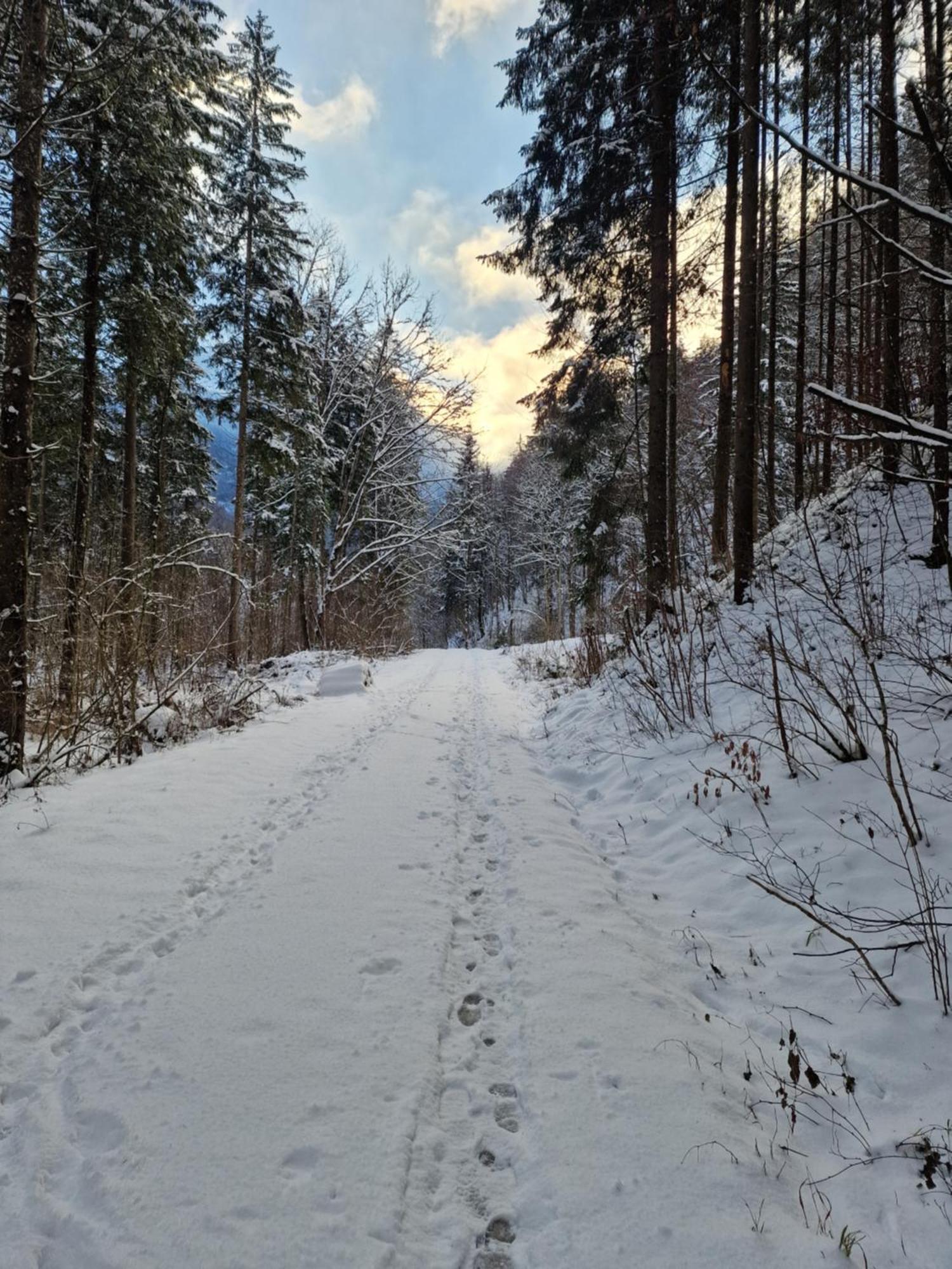Appartementhaus Huettenberger Erpfendorf Luaran gambar
